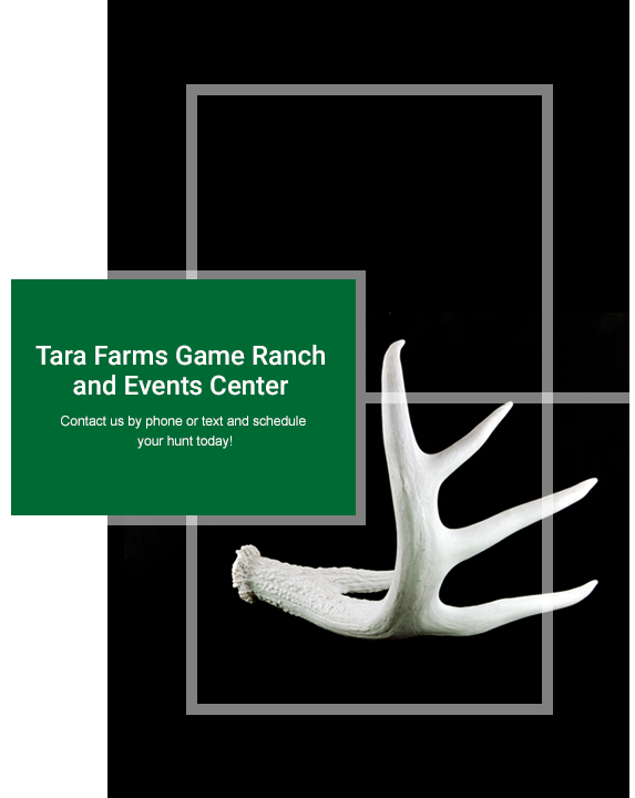 About Tara Farms About Tara Farms